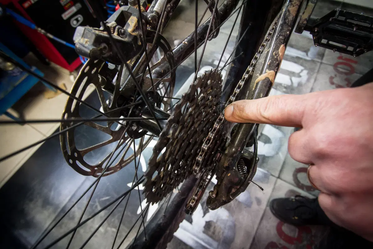 eBike usate. Guida all'acquisto (4)