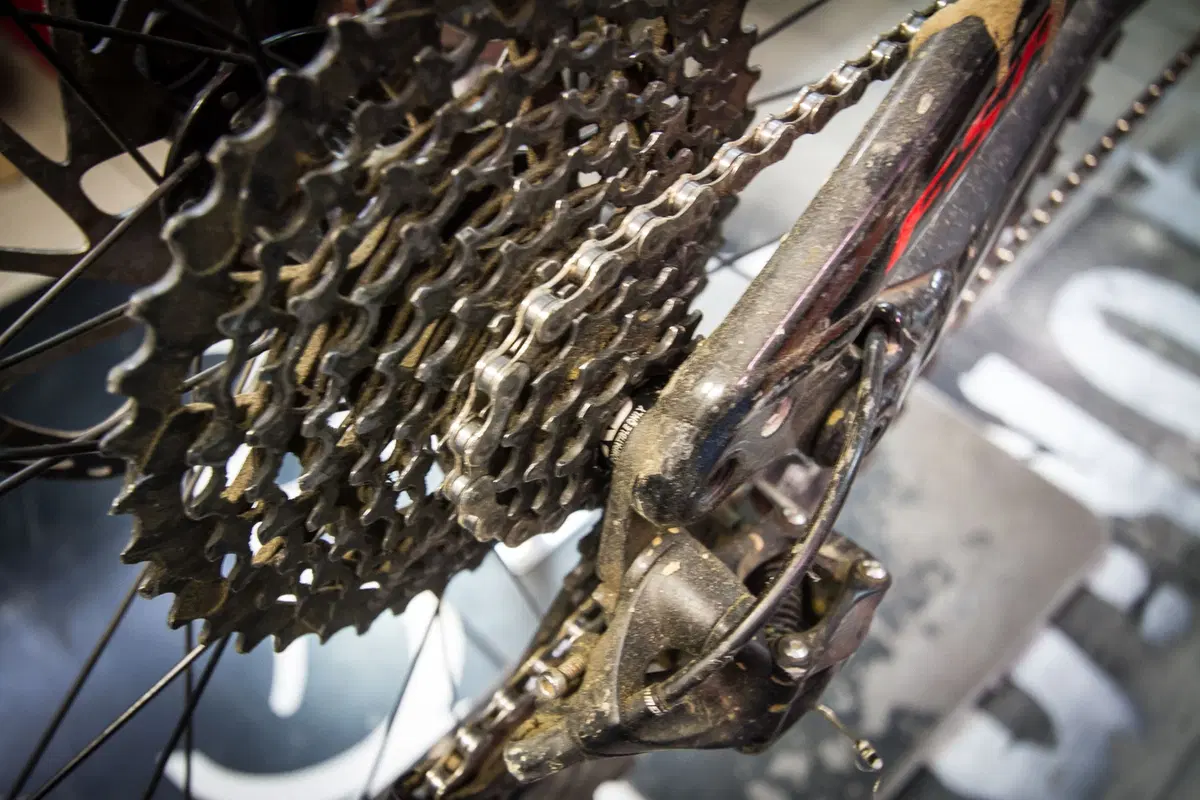 eBike usate. Guida all'acquisto (8)