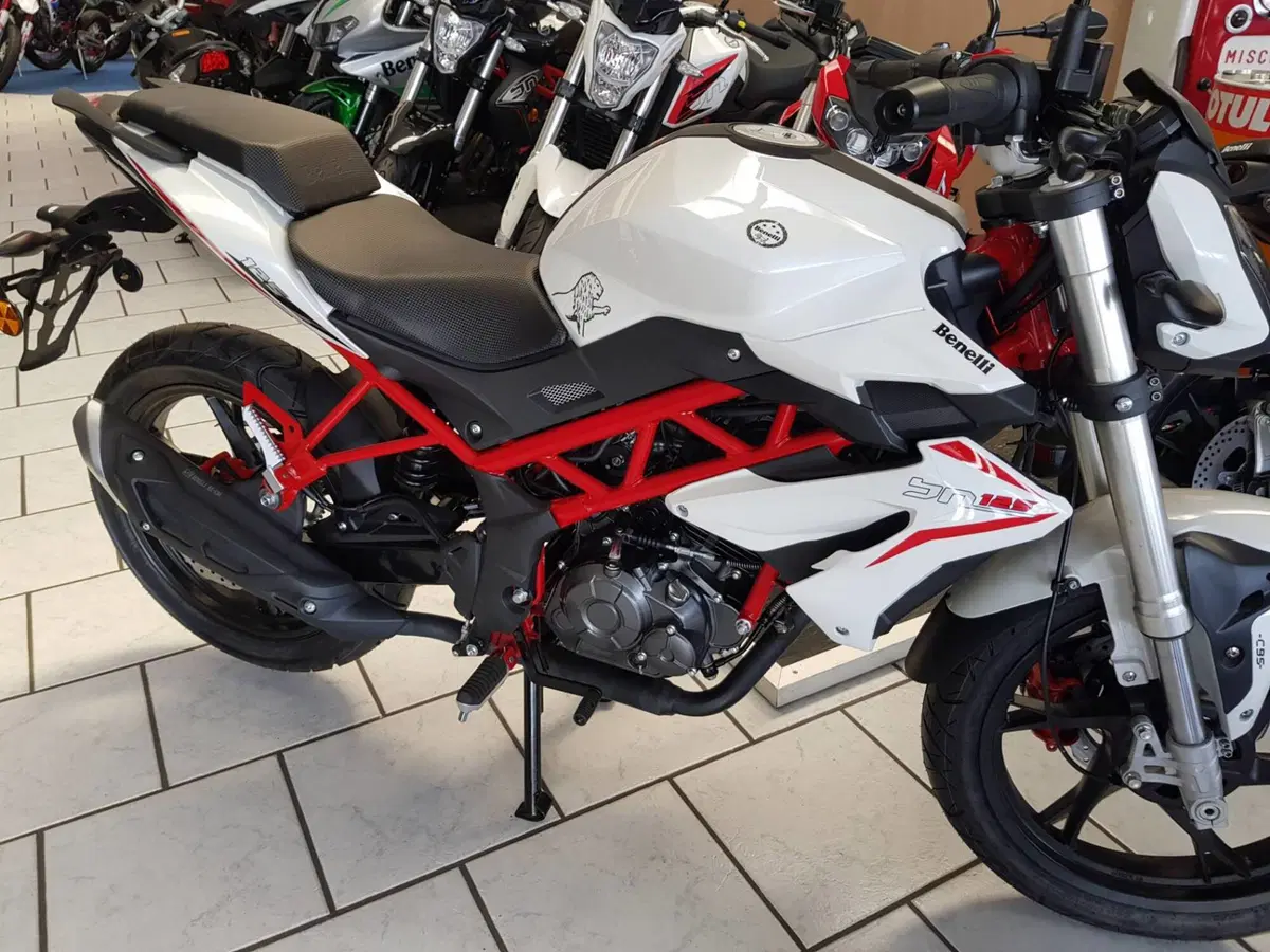 Benelli BN 125 (2021 - 25) (3)