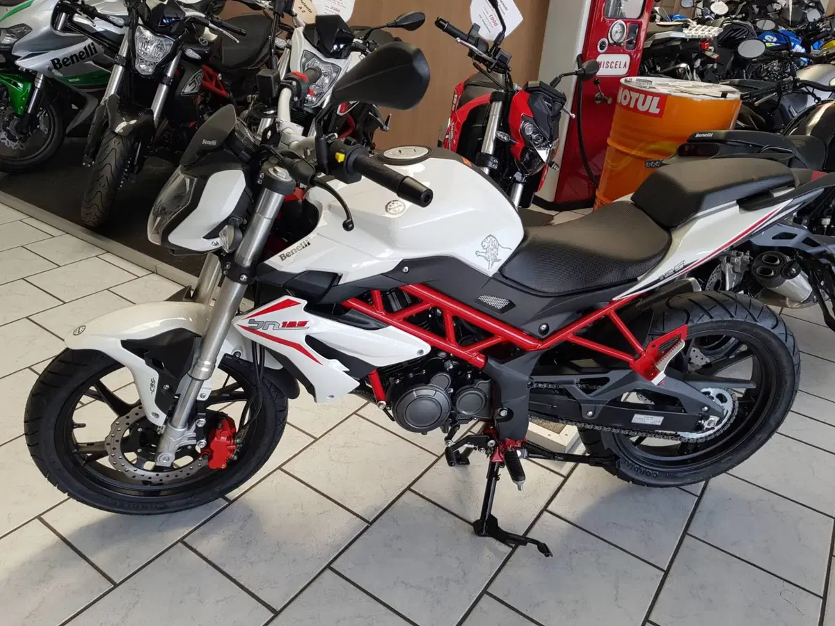 Benelli BN 125 (2021 - 25) (5)