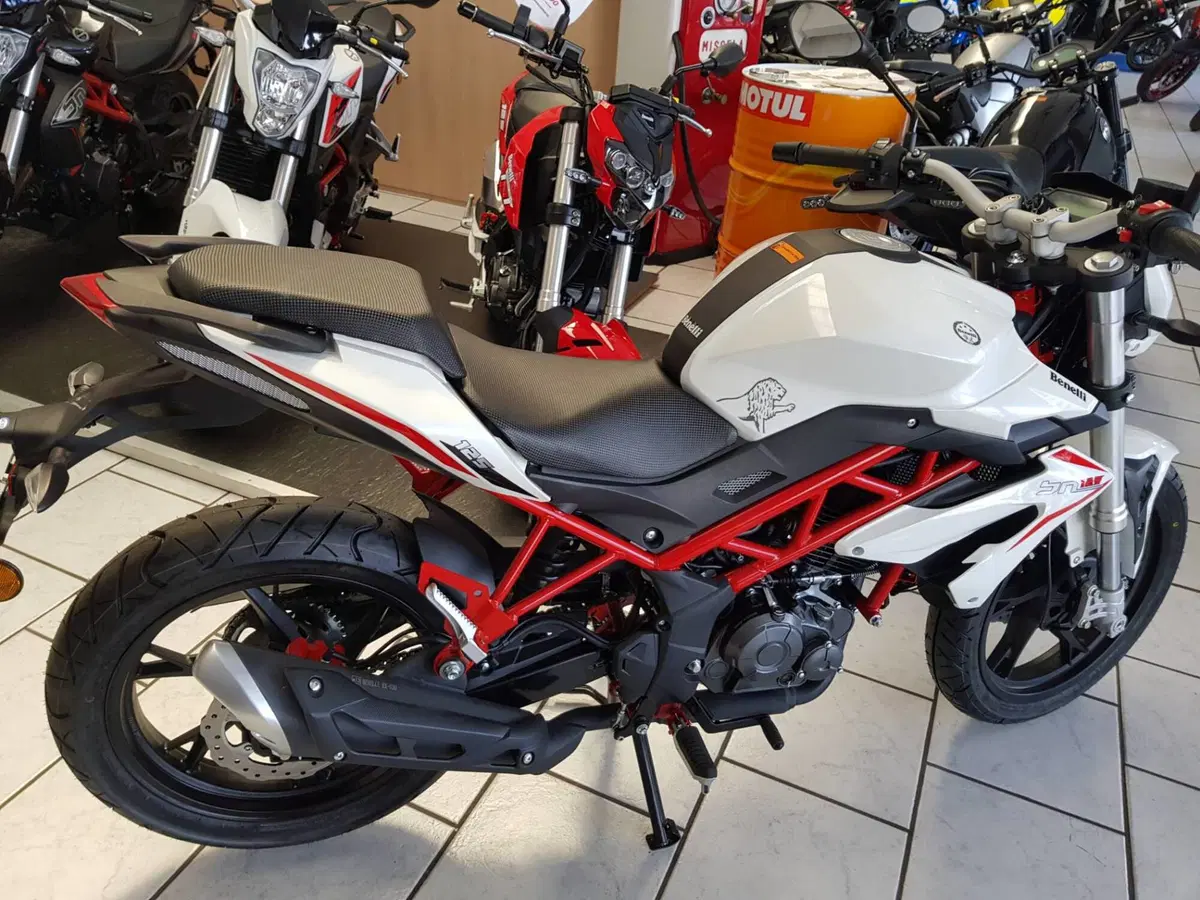 Benelli BN 125 (2021 - 25) (6)