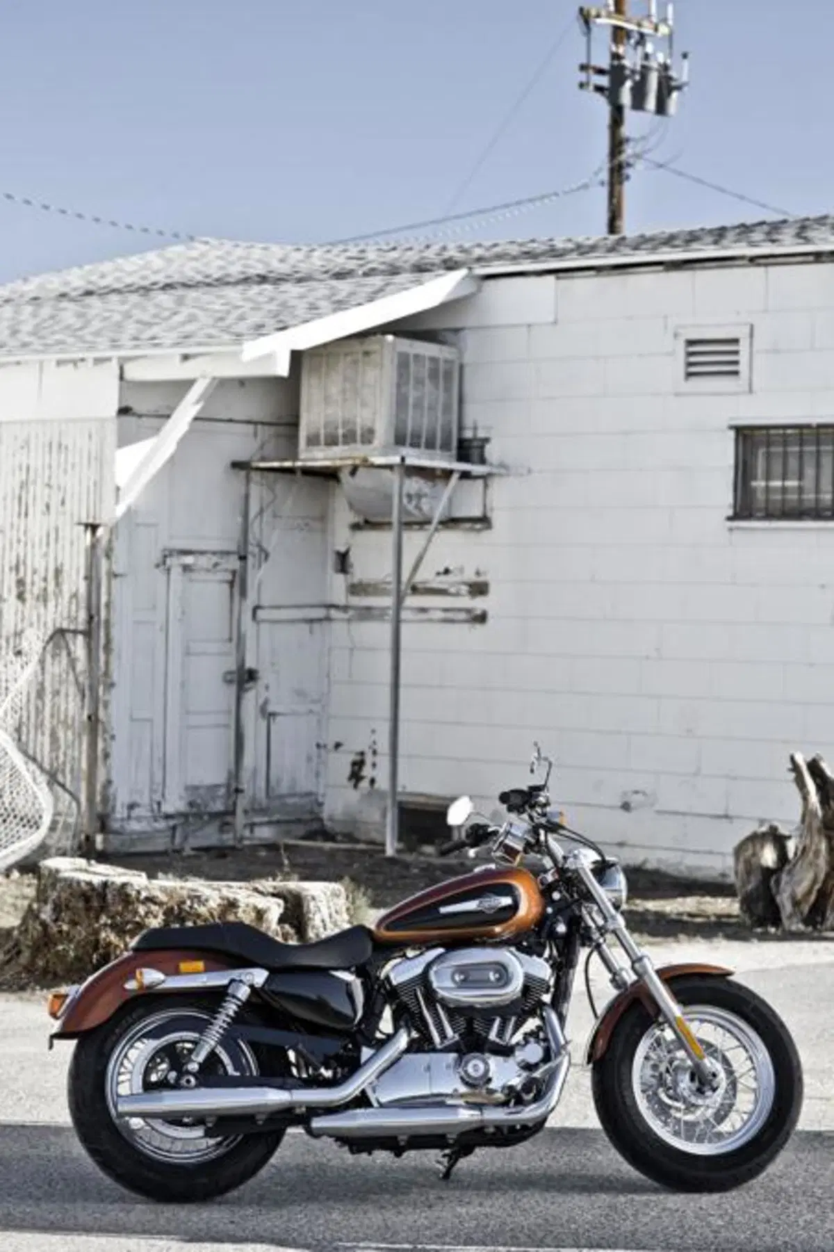 Harley-Davidson 1200 Custom (2)