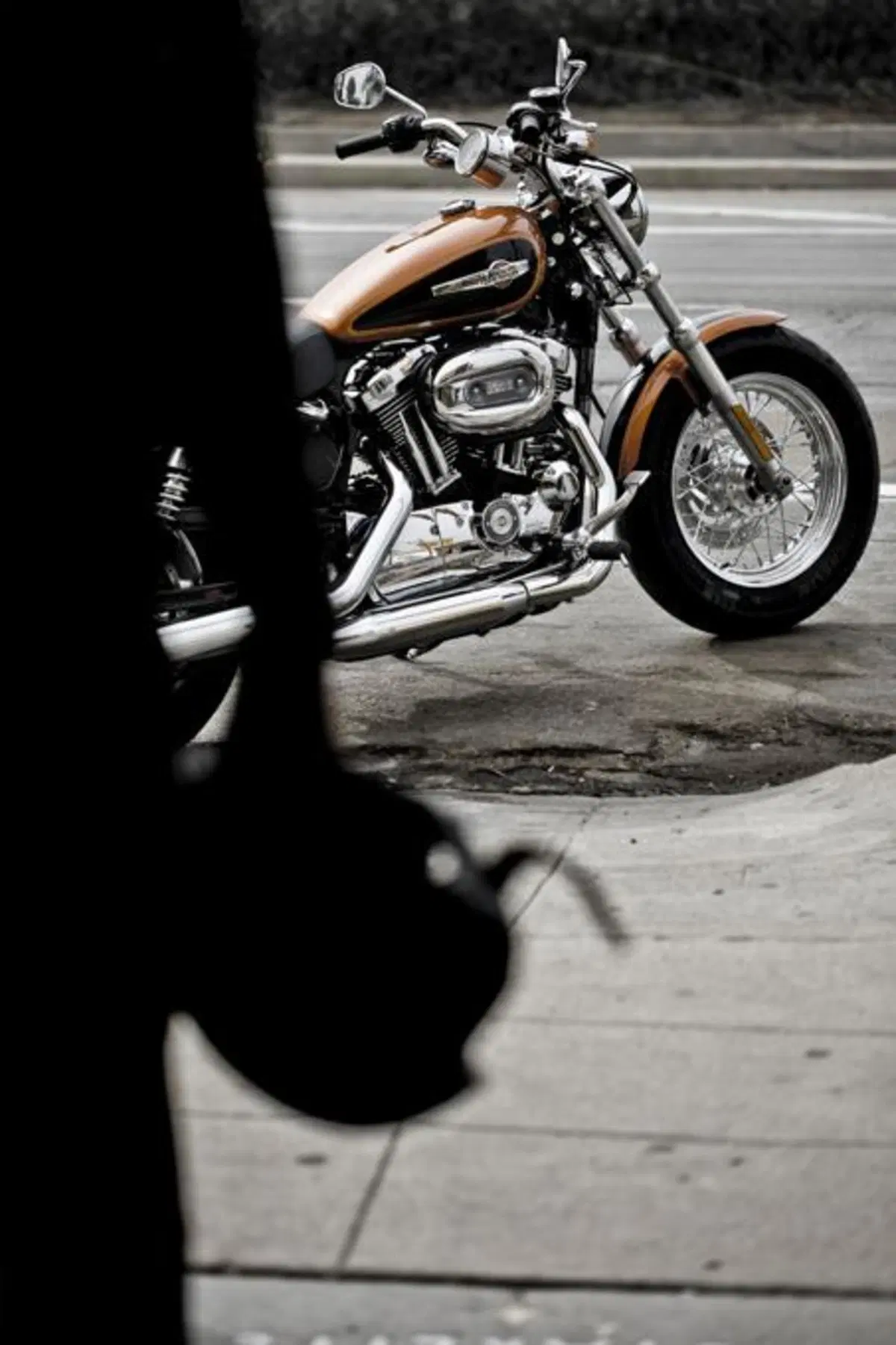 Harley-Davidson 1200 Custom (3)