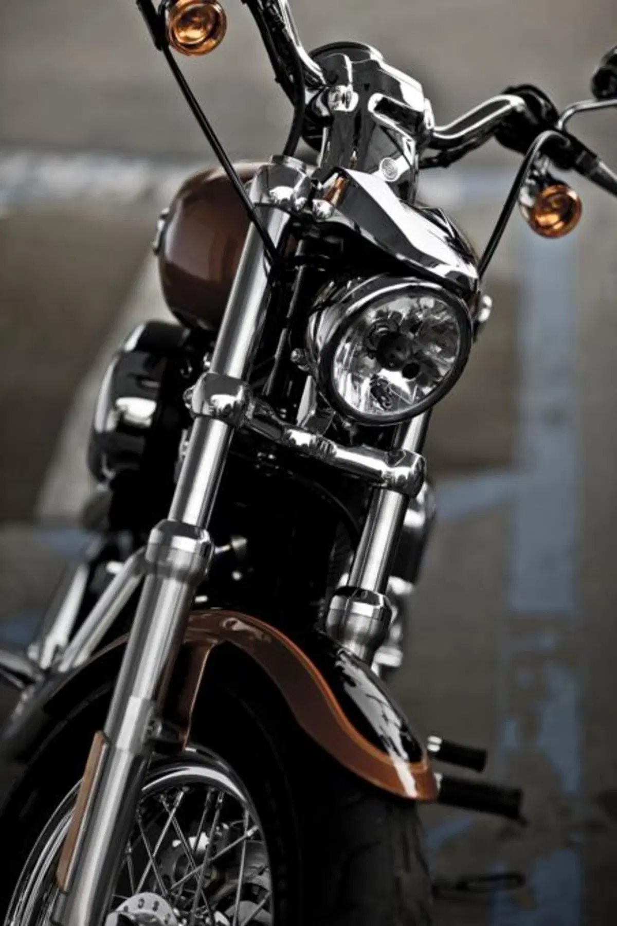 Harley-Davidson 1200 Custom (4)