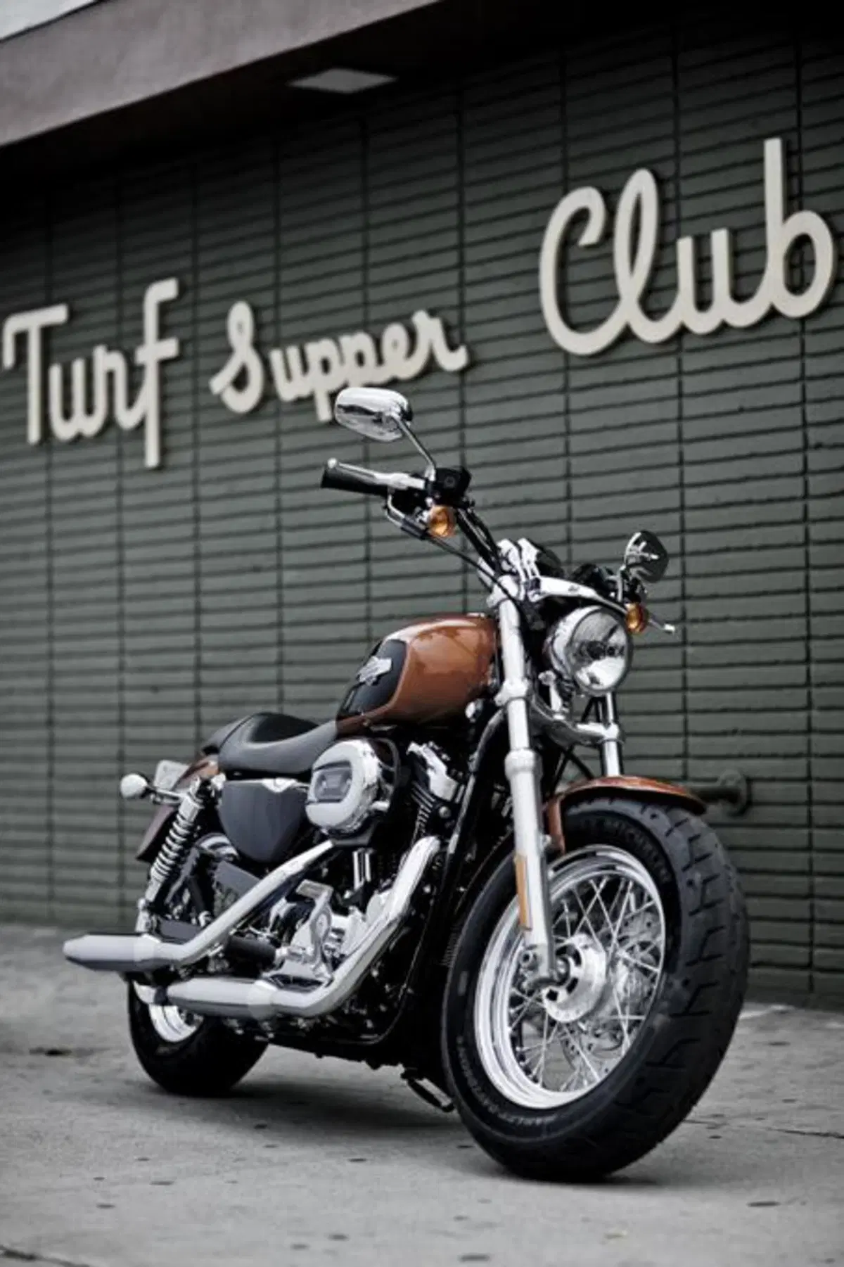 Harley-Davidson 1200 Custom (5)