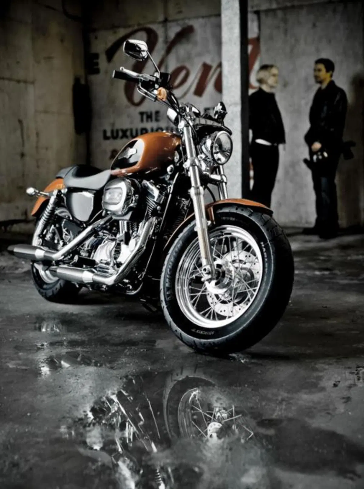 Harley-Davidson 1200 Custom (6)