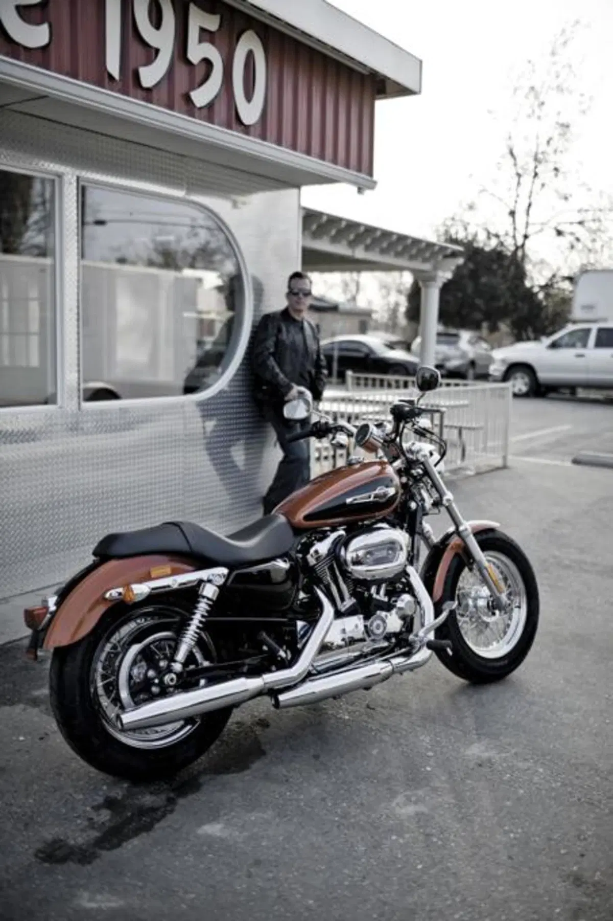 Harley-Davidson 1200 Custom (8)