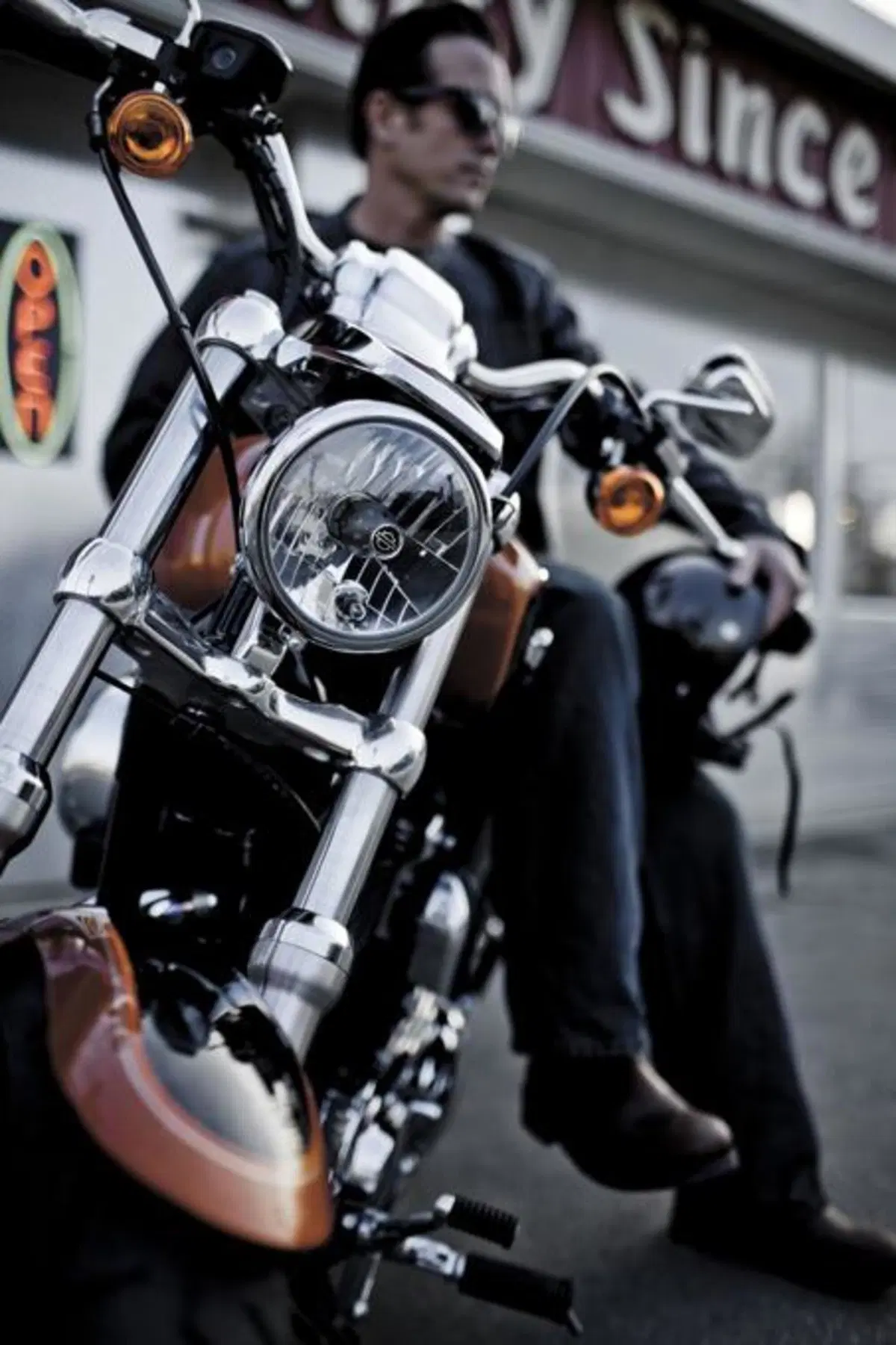 Harley-Davidson 1200 Custom (9)