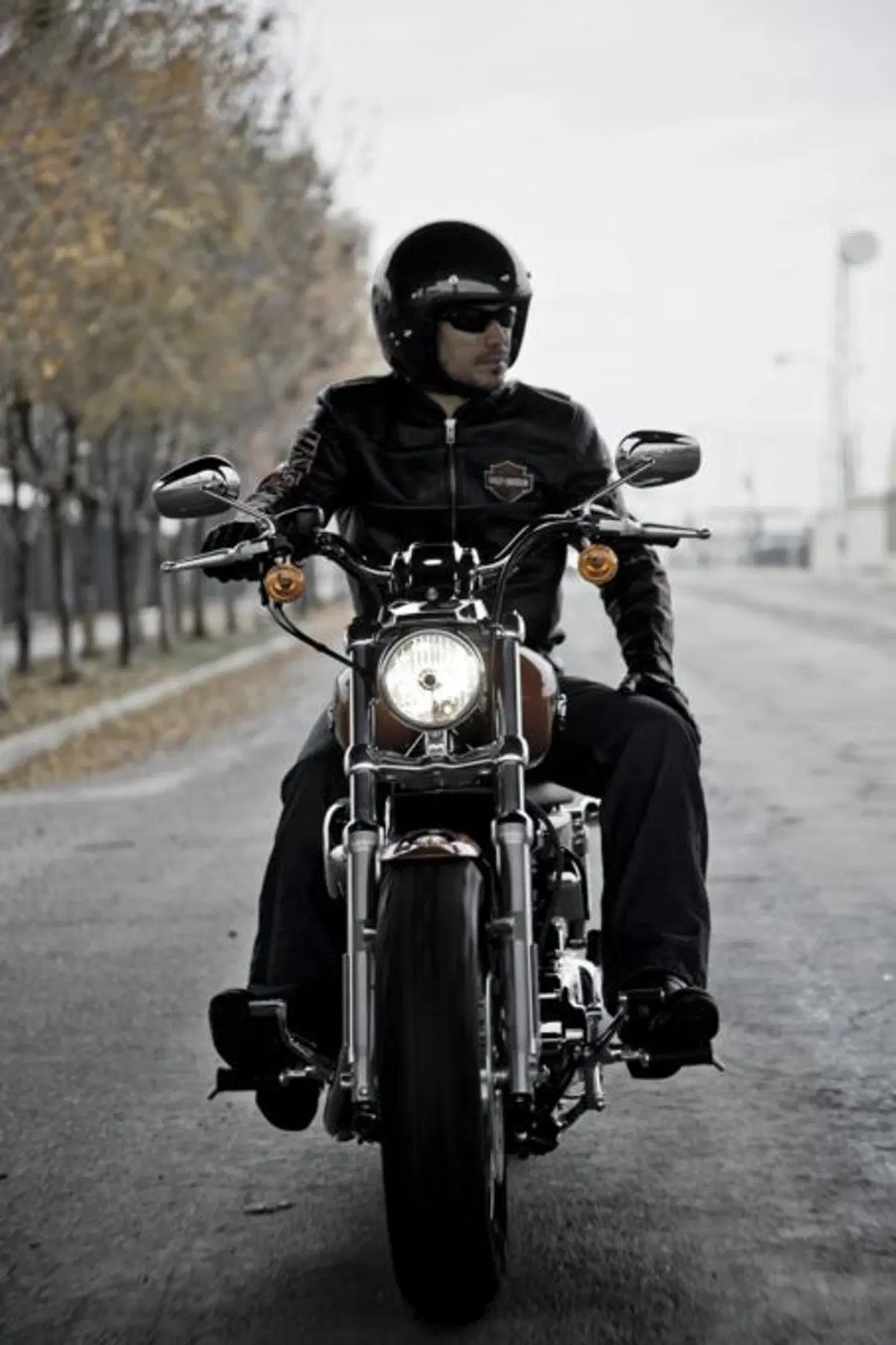 Harley-Davidson 1200 Custom (11)