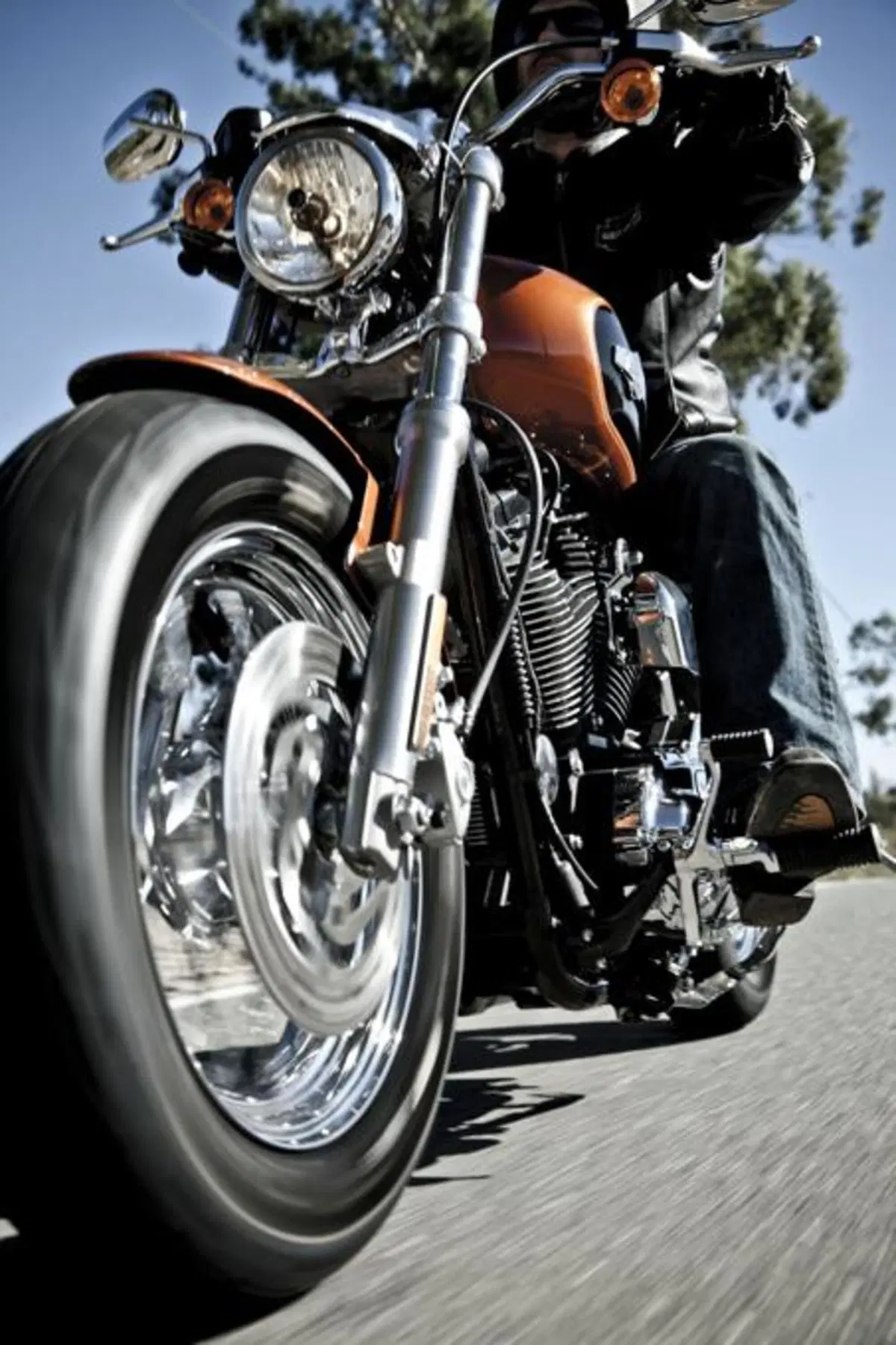Harley-Davidson 1200 Custom (12)
