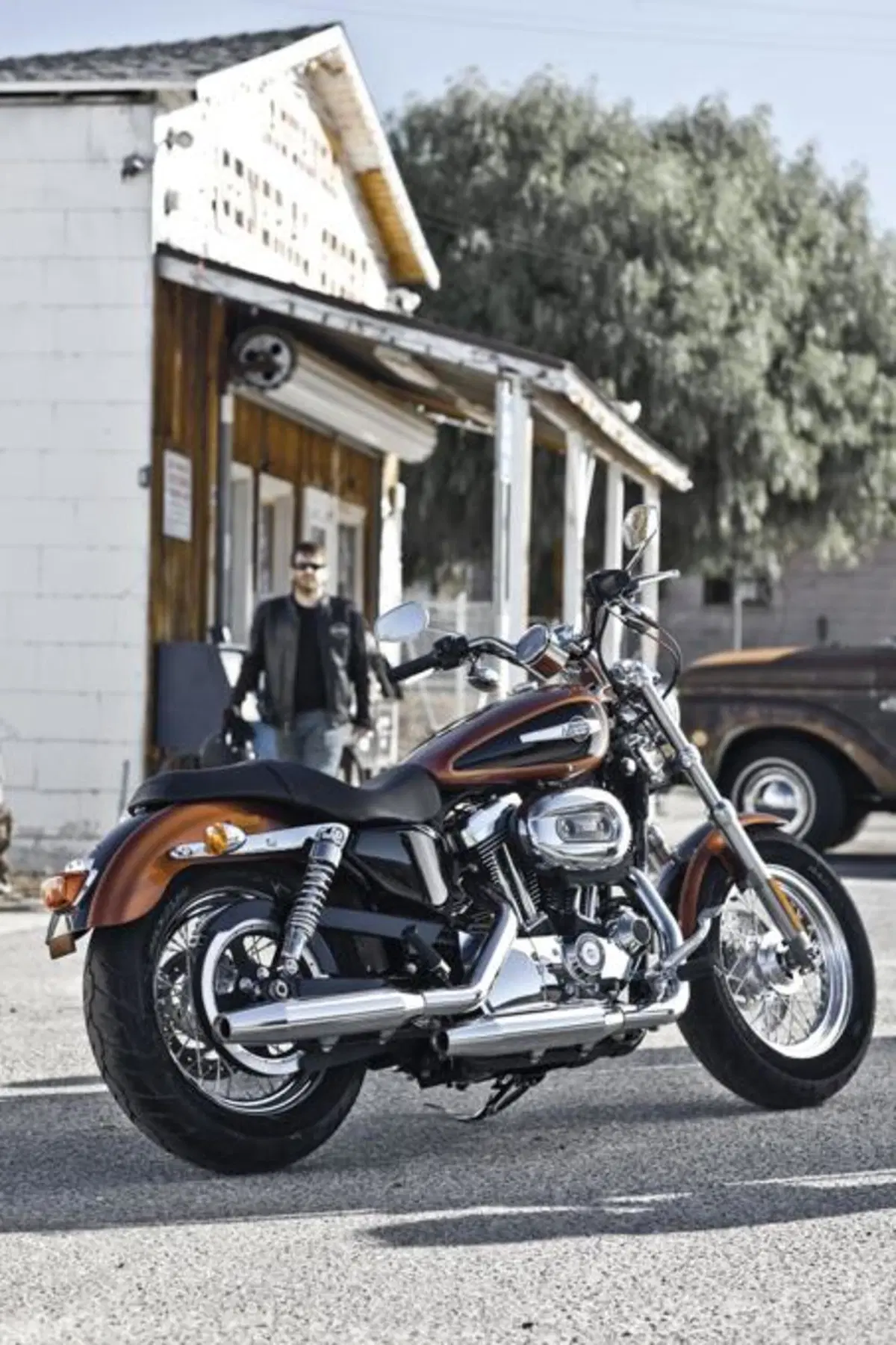 Harley-Davidson 1200 Custom (13)