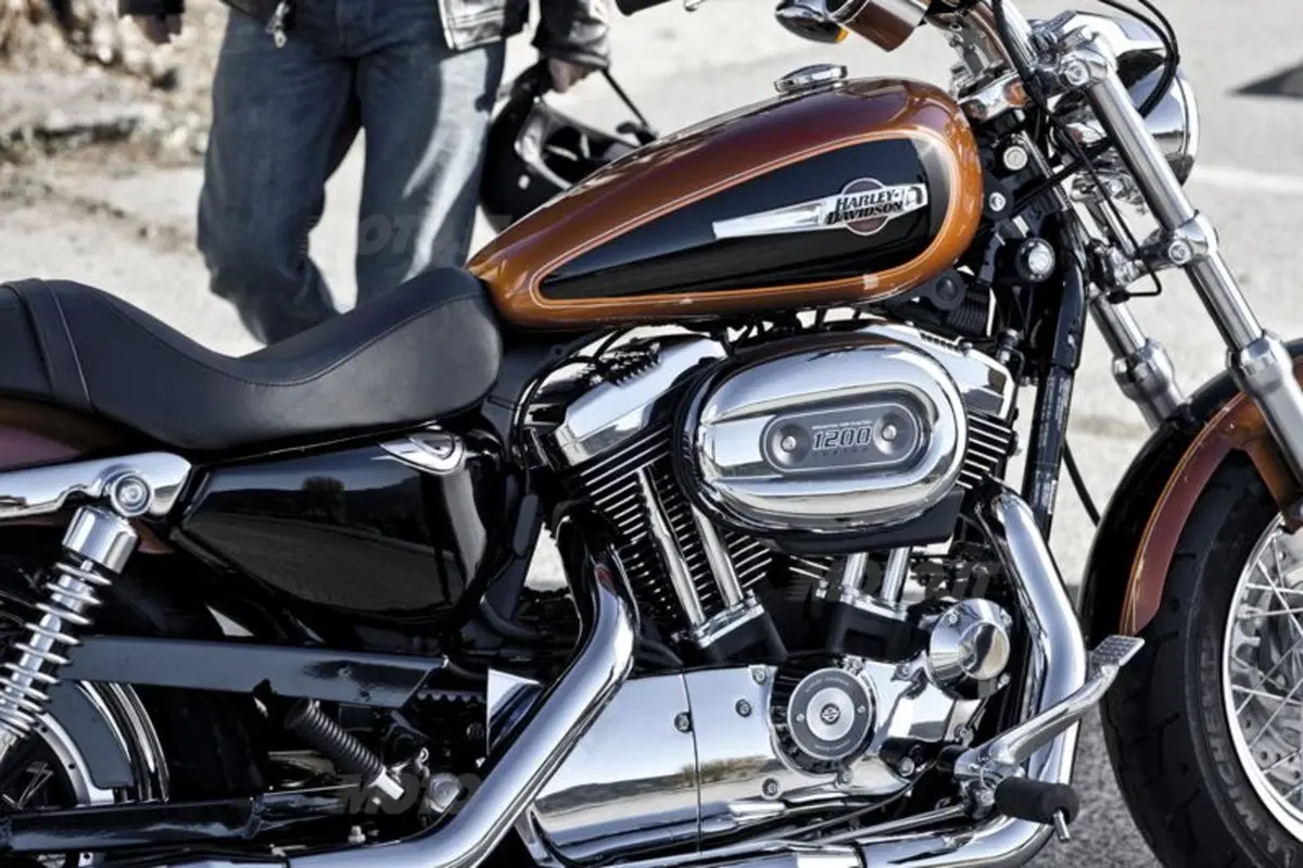 Harley-Davidson 1200 Custom (14)