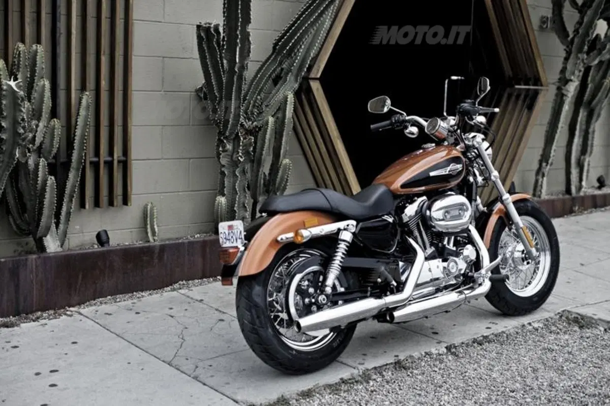 Harley-Davidson 1200 Custom (15)