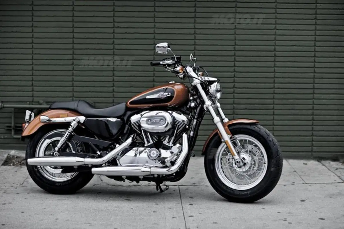 Harley-Davidson 1200 Custom (16)