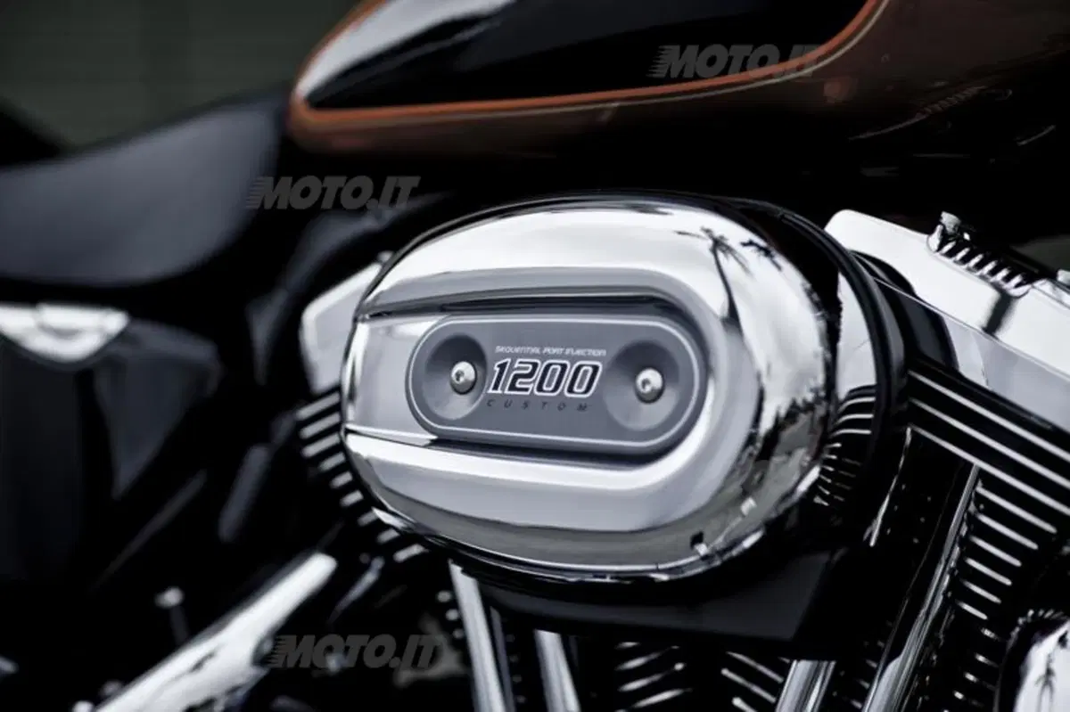 Harley-Davidson 1200 Custom (17)
