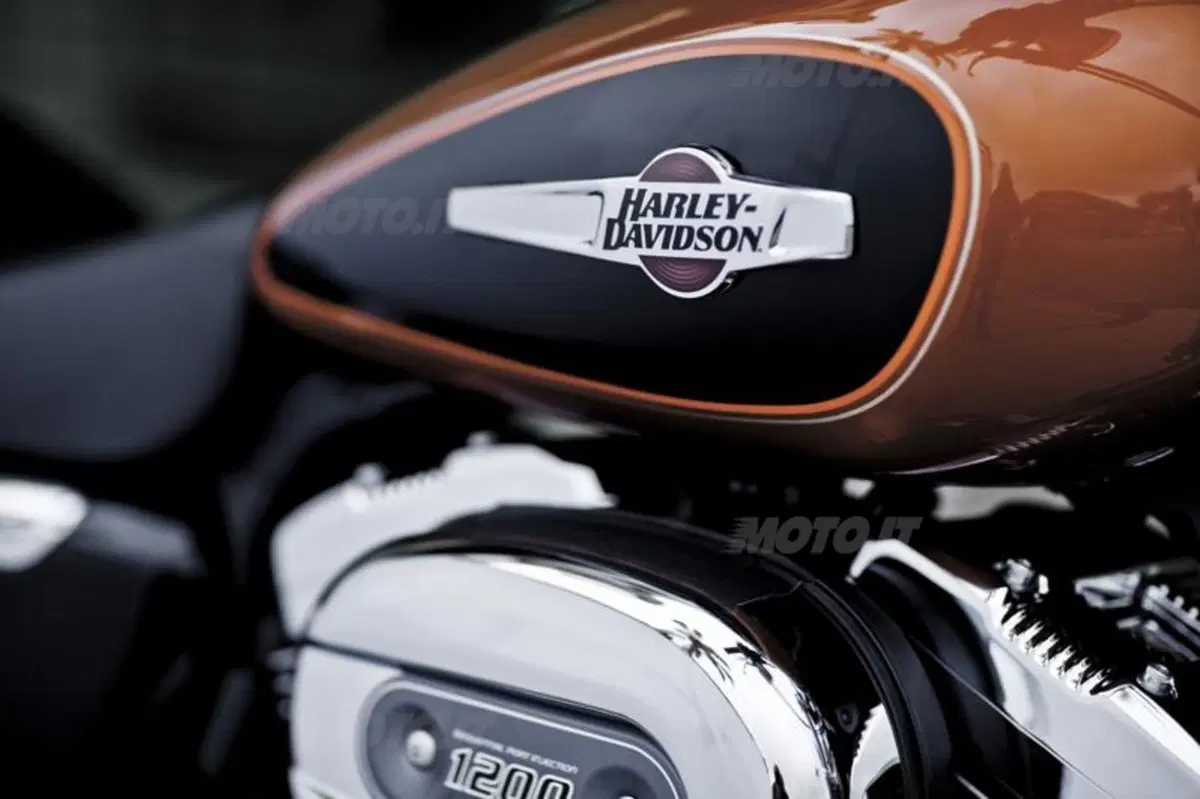 Harley-Davidson 1200 Custom (18)