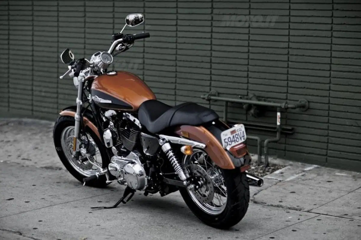 Harley-Davidson 1200 Custom (19)