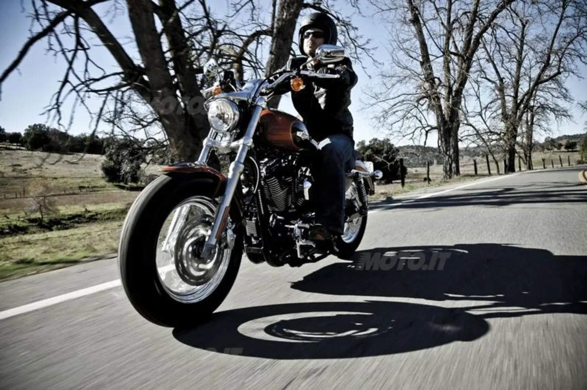 Harley-Davidson 1200 Custom (20)