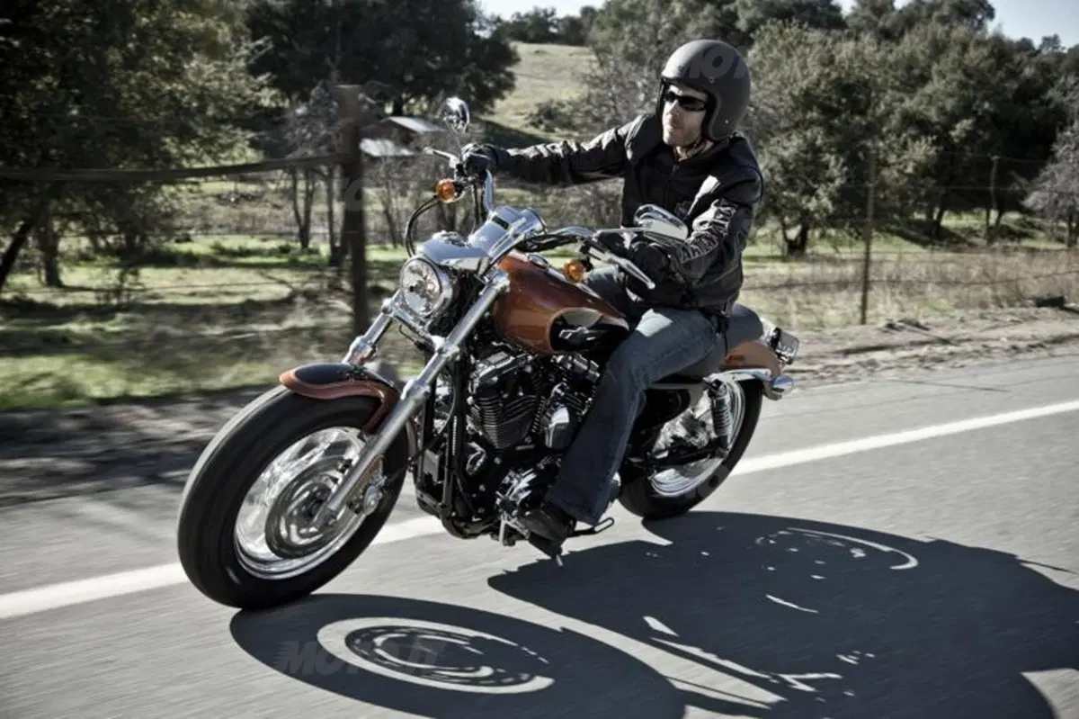 Harley-Davidson 1200 Custom (21)