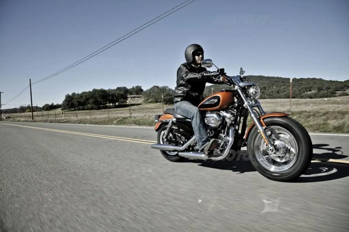 Harley-Davidson 1200 Custom (22)