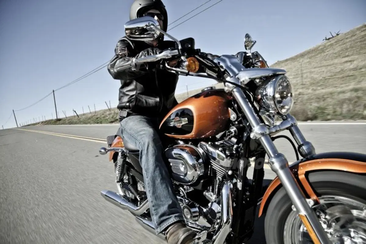 Harley-Davidson 1200 Custom (23)