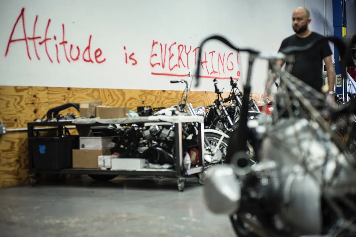 Alan Stulberg, Revival Cycles: “La Birdcage? Doveva sembrare non funzionante” (9)
