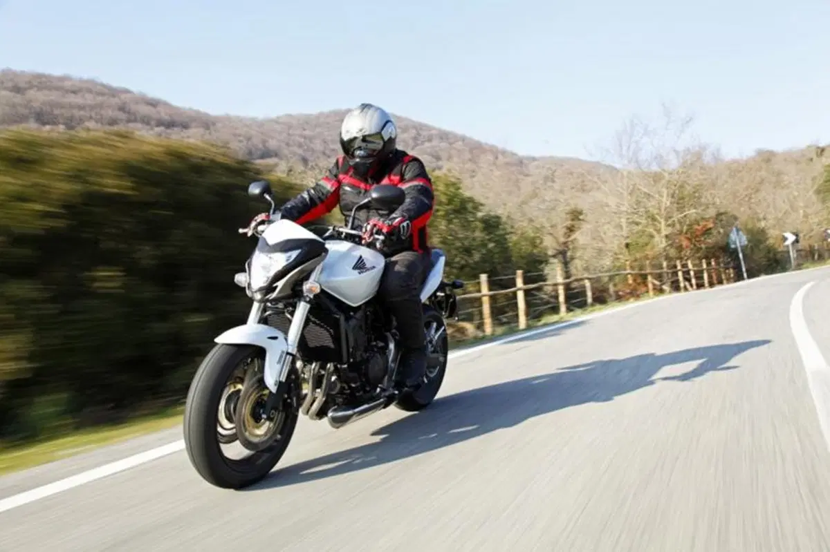 Honda Hornet 600   (8)