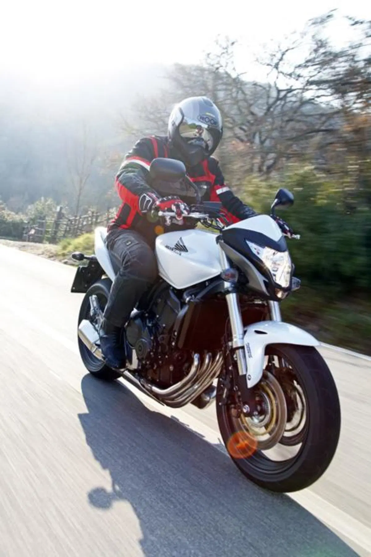 Honda Hornet 600   (15)