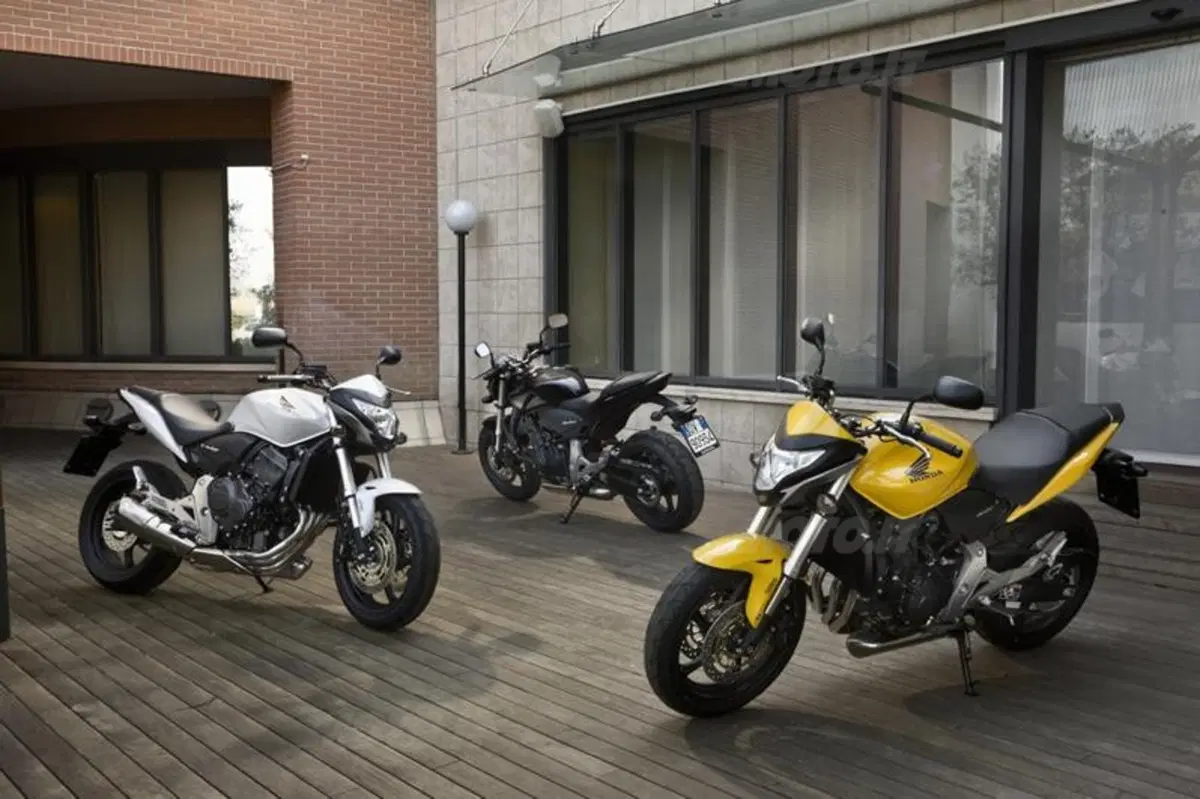 Honda Hornet 600   (17)