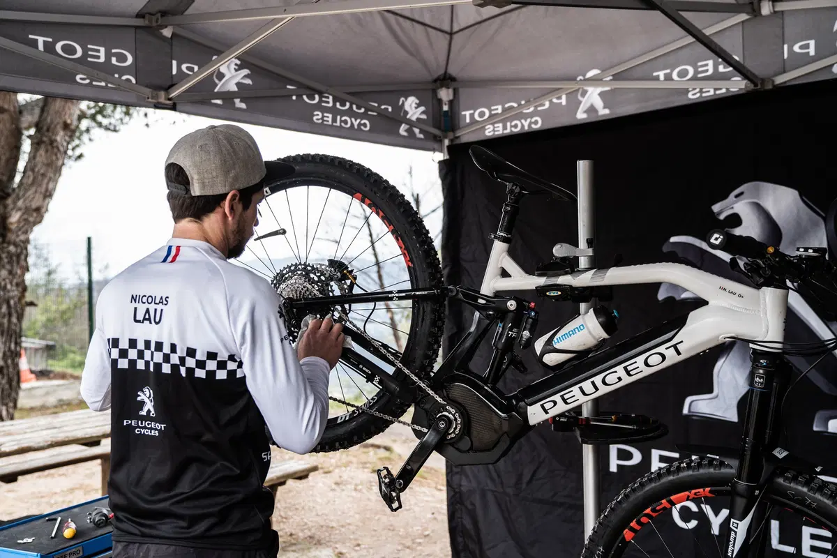 Gallery. Le eBike da sogno del WES 2019 (12)