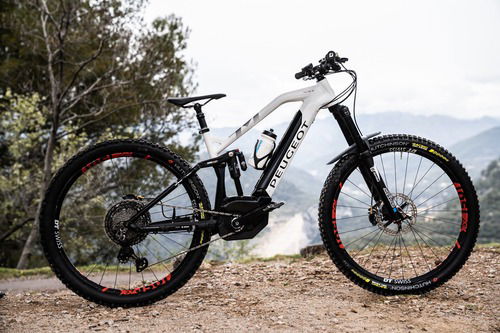 Gallery. Le eBike da sogno del WES 2019 (8)