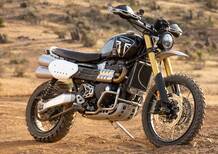 La Scrambler Triumph ritorna alla mitica Baja 1000