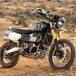 La Scrambler Triumph ritorna alla mitica Baja 1000