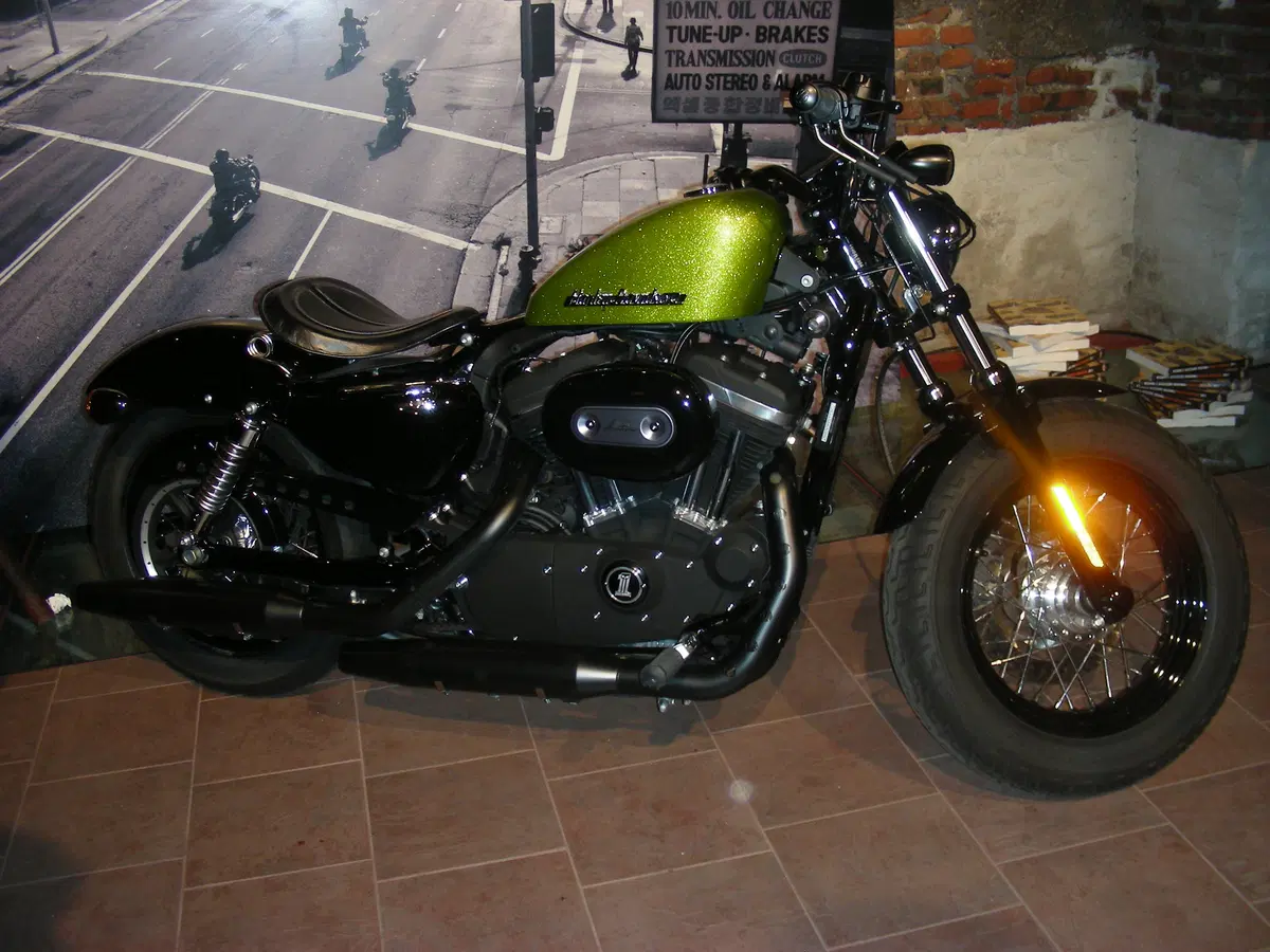 Harley-Davidson. Sei moto speciali per presentare la linea accessori 2011 (2)