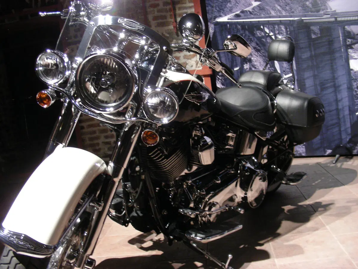 Harley-Davidson. Sei moto speciali per presentare la linea accessori 2011 (3)