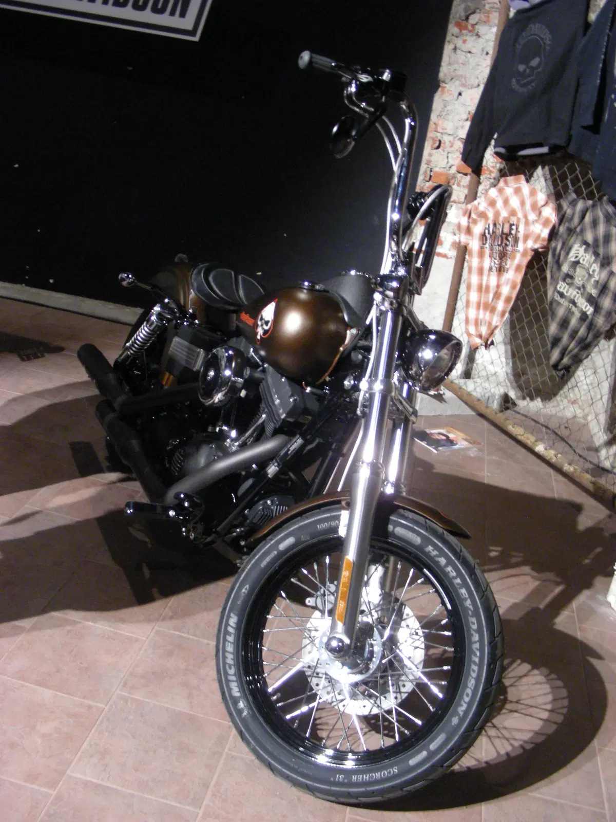 Harley-Davidson. Sei moto speciali per presentare la linea accessori 2011 (6)