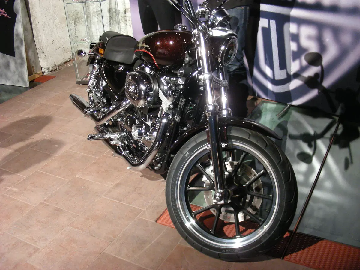 Harley-Davidson. Sei moto speciali per presentare la linea accessori 2011 (8)