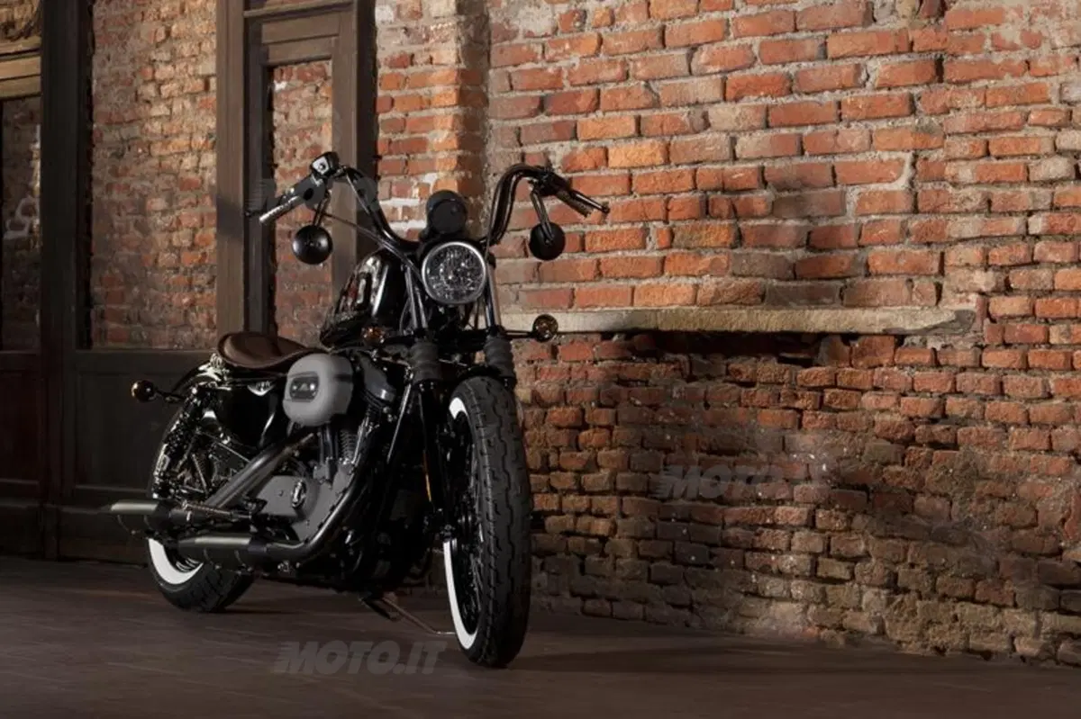Harley-Davidson. Sei moto speciali per presentare la linea accessori 2011 (19)