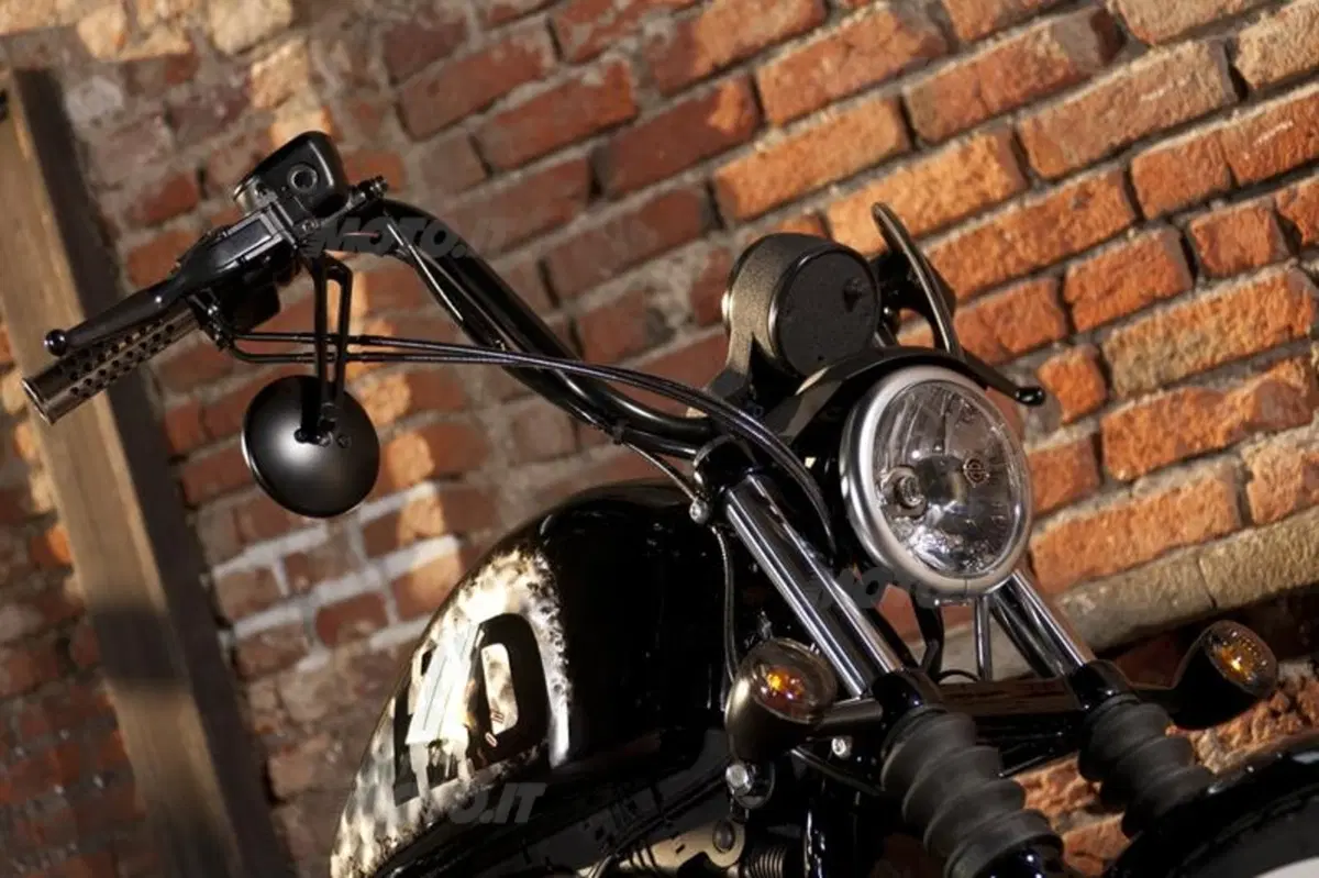 Harley-Davidson. Sei moto speciali per presentare la linea accessori 2011 (20)