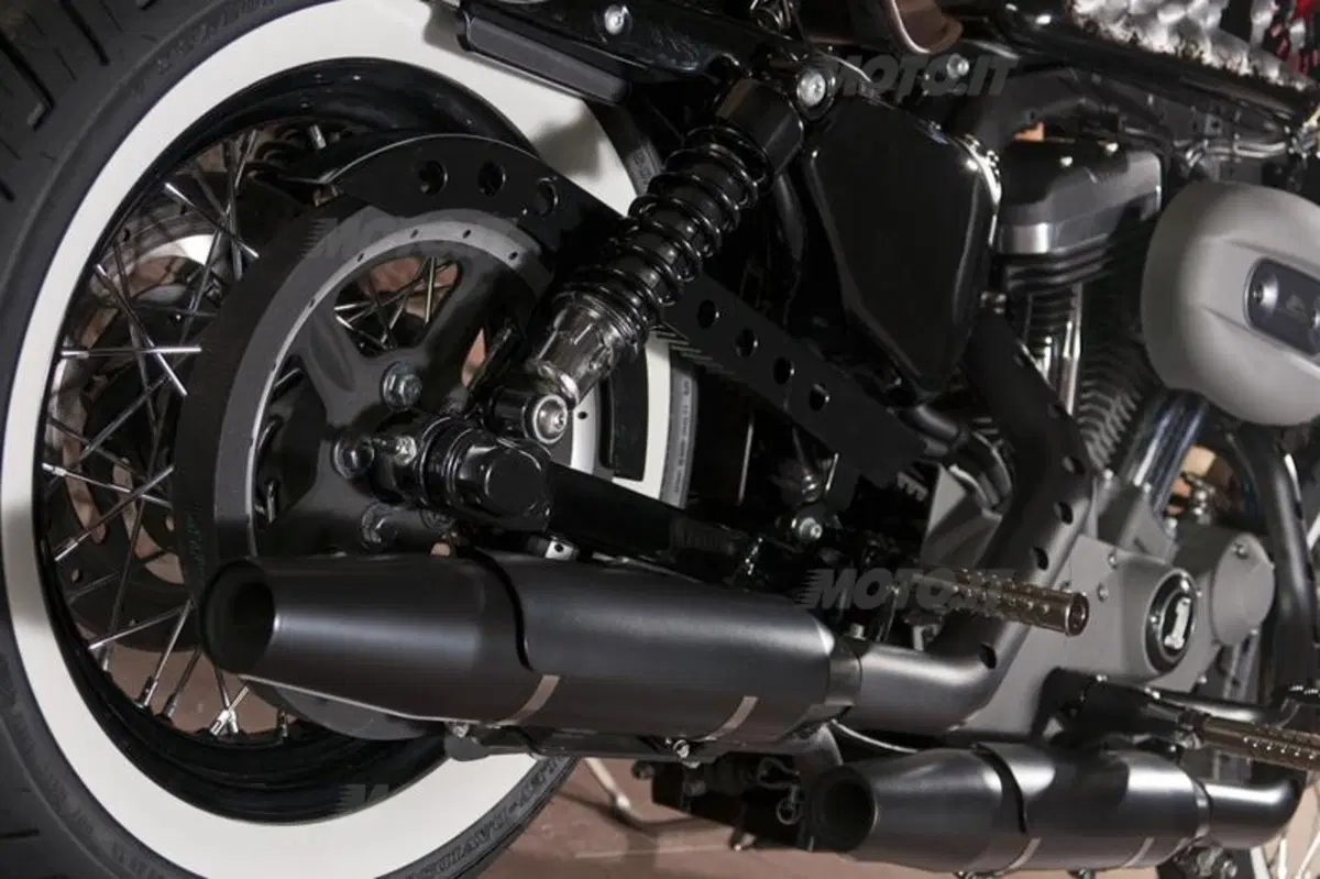 Harley-Davidson. Sei moto speciali per presentare la linea accessori 2011 (21)