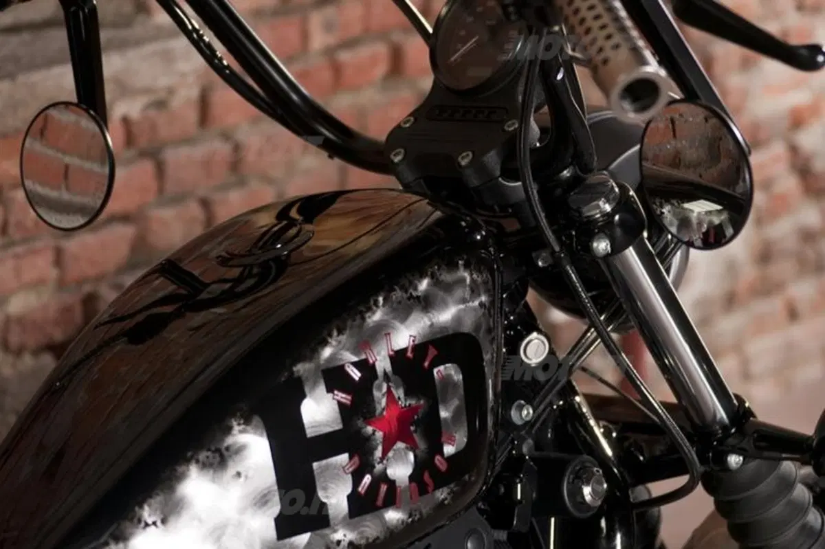 Harley-Davidson. Sei moto speciali per presentare la linea accessori 2011 (22)