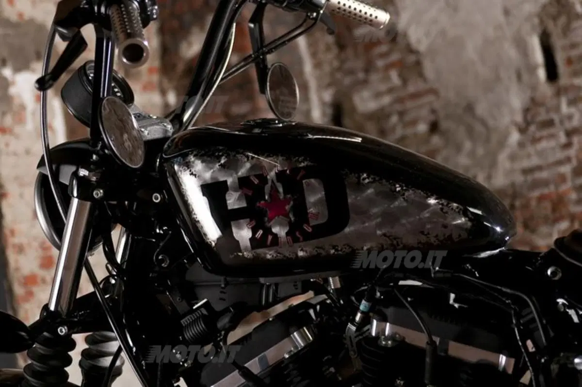Harley-Davidson. Sei moto speciali per presentare la linea accessori 2011 (24)