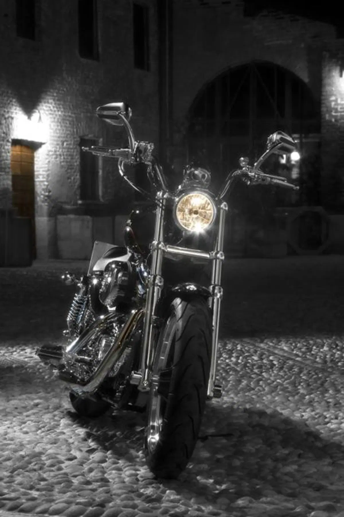 Harley-Davidson. Sei moto speciali per presentare la linea accessori 2011 (26)