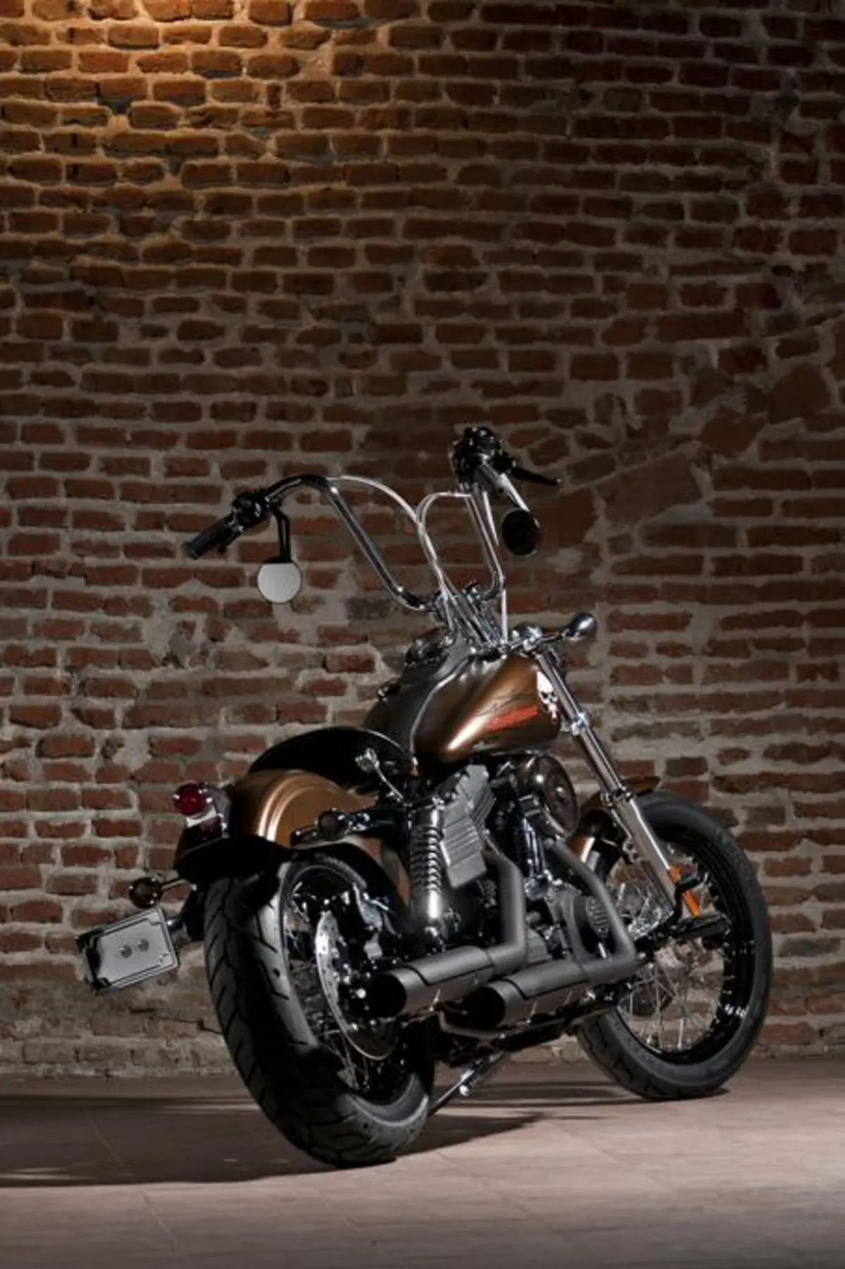 Harley-Davidson. Sei moto speciali per presentare la linea accessori 2011 (46)