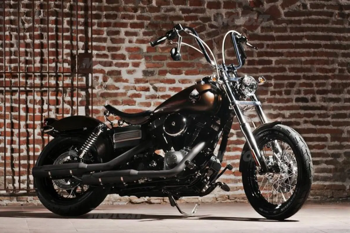 Harley-Davidson. Sei moto speciali per presentare la linea accessori 2011 (48)