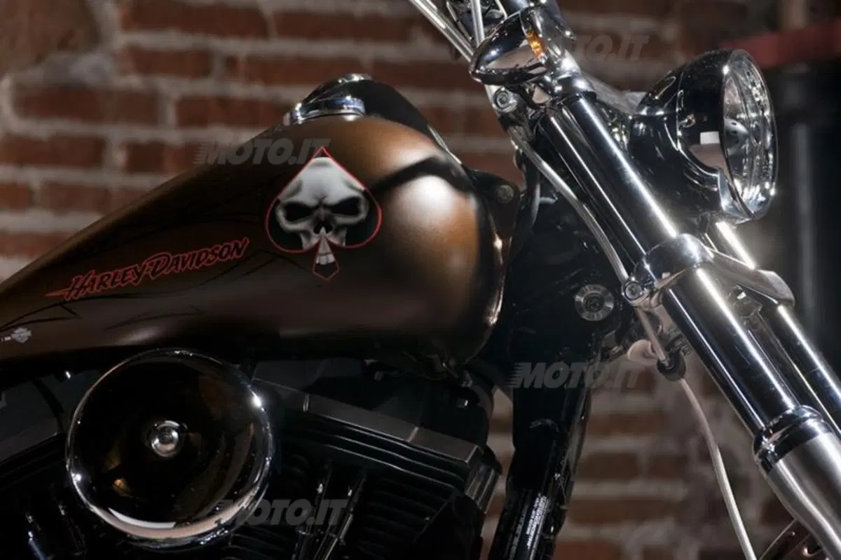 Harley-Davidson. Sei moto speciali per presentare la linea accessori 2011 (49)