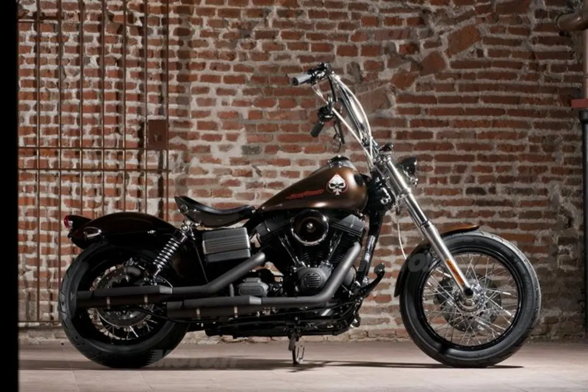Harley-Davidson. Sei moto speciali per presentare la linea accessori 2011 (50)