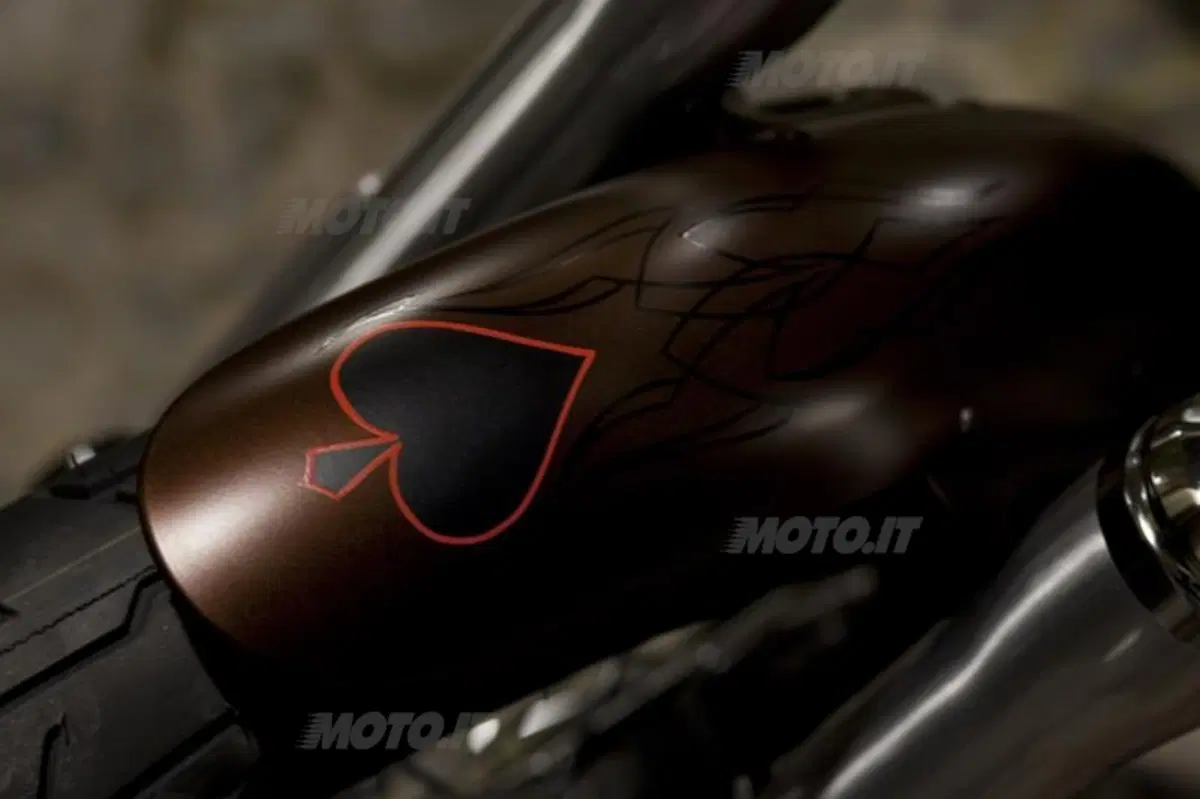 Harley-Davidson. Sei moto speciali per presentare la linea accessori 2011 (51)