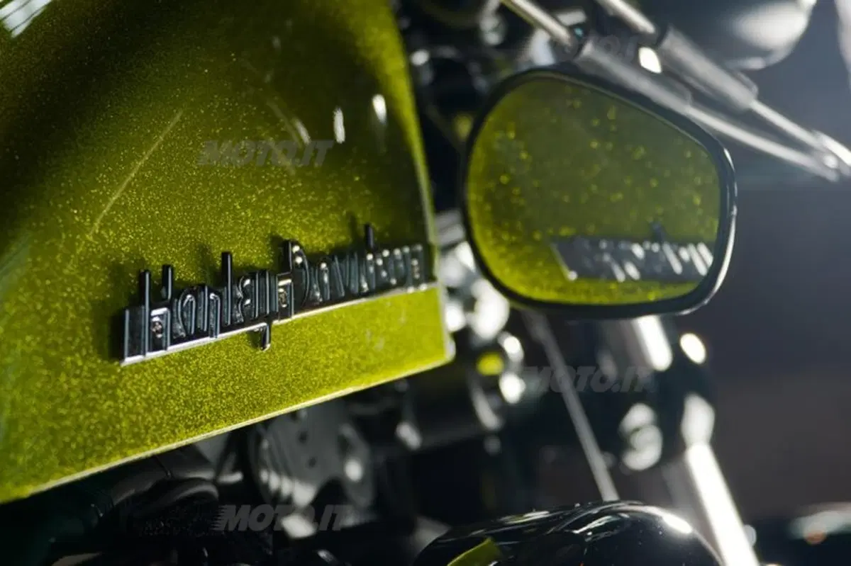 Harley-Davidson. Sei moto speciali per presentare la linea accessori 2011 (53)