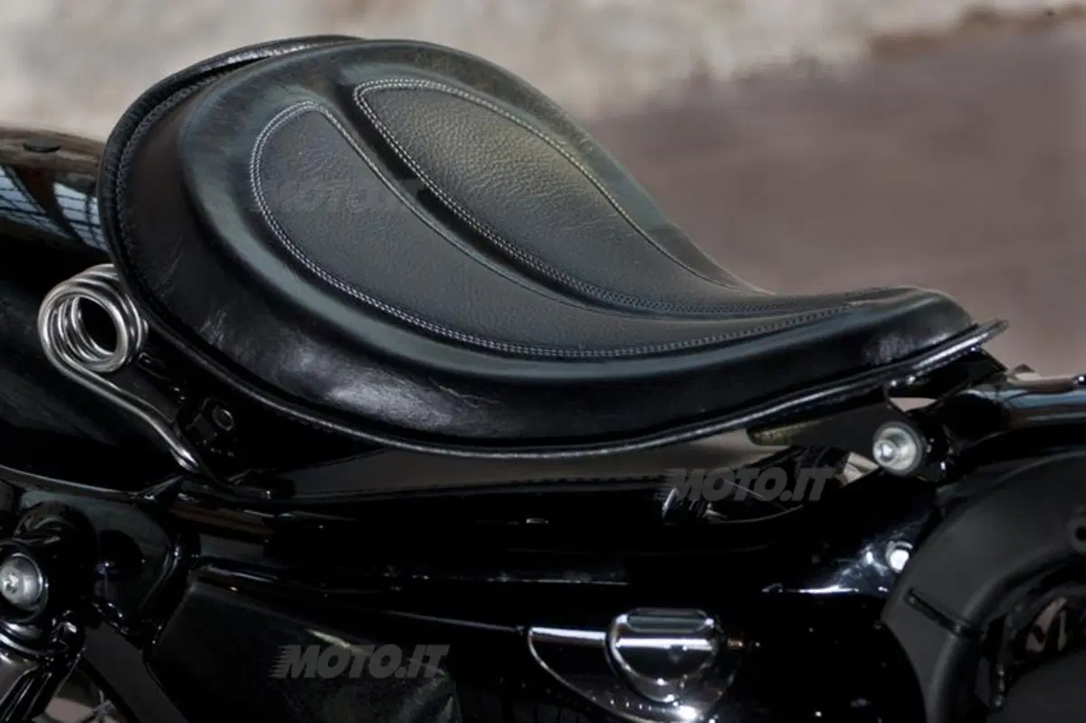 Harley-Davidson. Sei moto speciali per presentare la linea accessori 2011 (54)